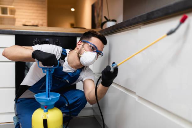 Best Pest Control Cost  in Preakness, NJ
