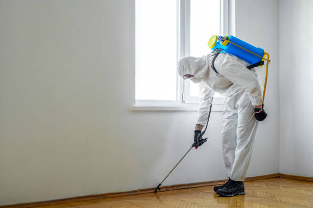 Best Flea Control Services  in Preakness, NJ
