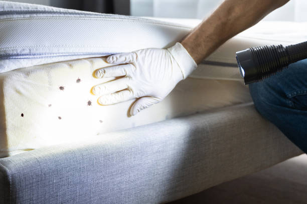 Preakness, NJ Pest Control Company