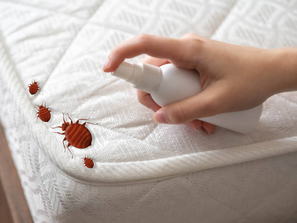 Reliable Preakness, NJ Pest Control Solutions