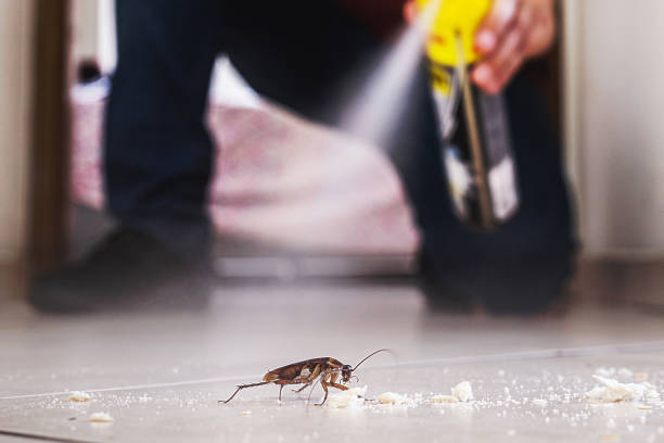 Best Commercial Pest Control Services  in Preakness, NJ